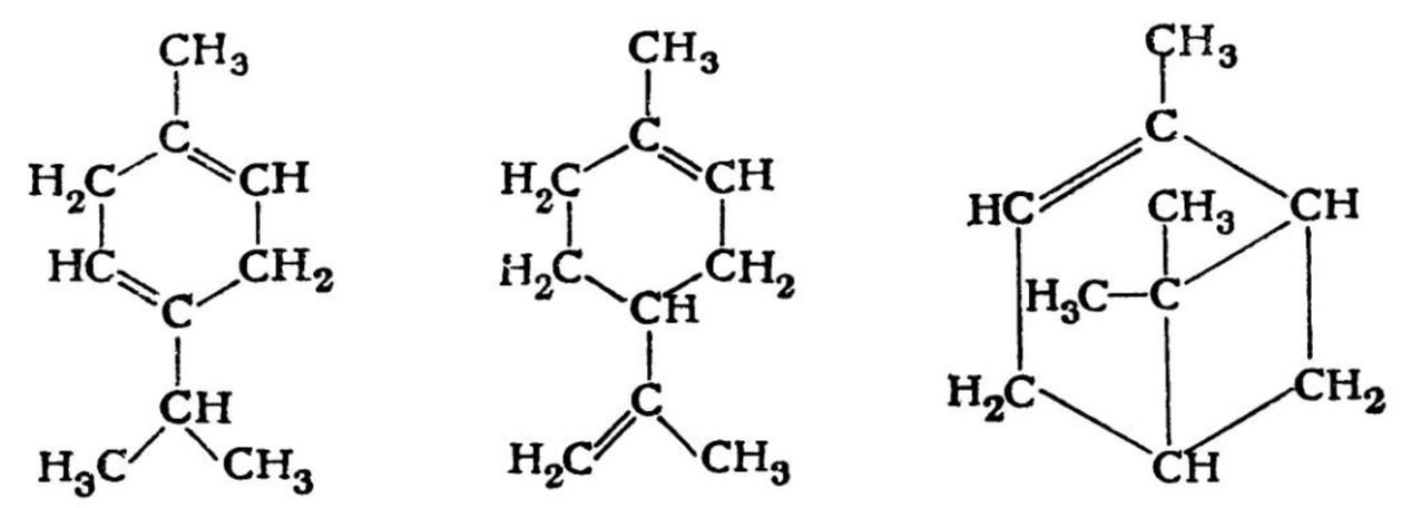 Terpene formula Zenidol krémben